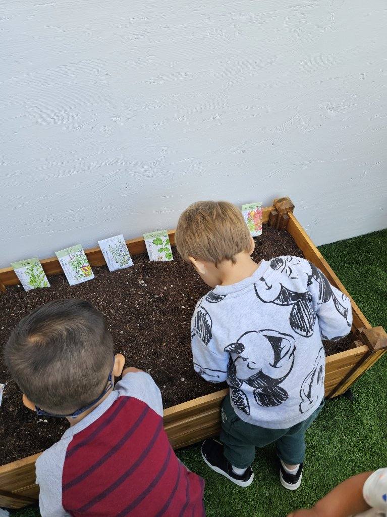 Children collaborating on a Reggio-inspired art project at the light table